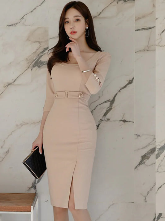 Elegant Women Pencil Dress